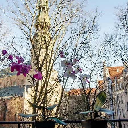 Apartment, Town Towers With Parking Apartamento *